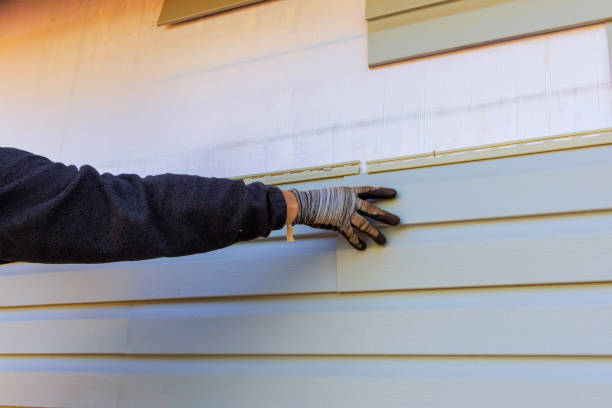 Best Engineered Wood Siding  in Cascade, ID